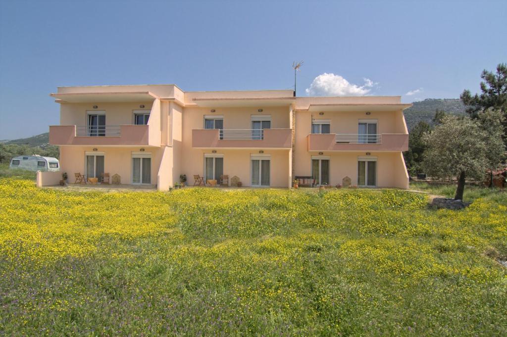 Studios Dimitraki Skala Rachoni  Kamer foto