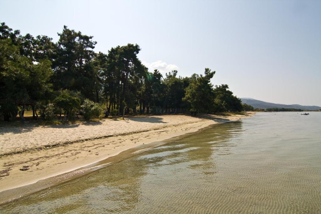 Studios Dimitraki Skala Rachoni  Buitenkant foto